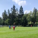 drozdov B podzim 25
